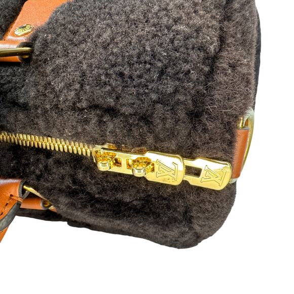 Louis Vuitton Teddy Speedy Bag 25 Monogram Shearling Bandouliere LV 2025 Rare - Picture 8 of 13